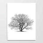 oak tree botanical no2 Notebook Gallery Image 4
