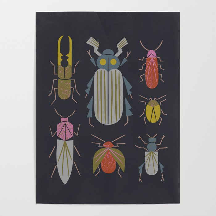 Beetle Specimens Poster Gallery Image 4
