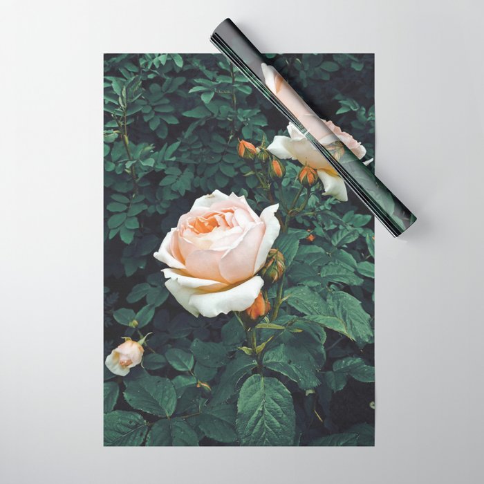 Dark Garden Wrapping Paper Gallery Image 1