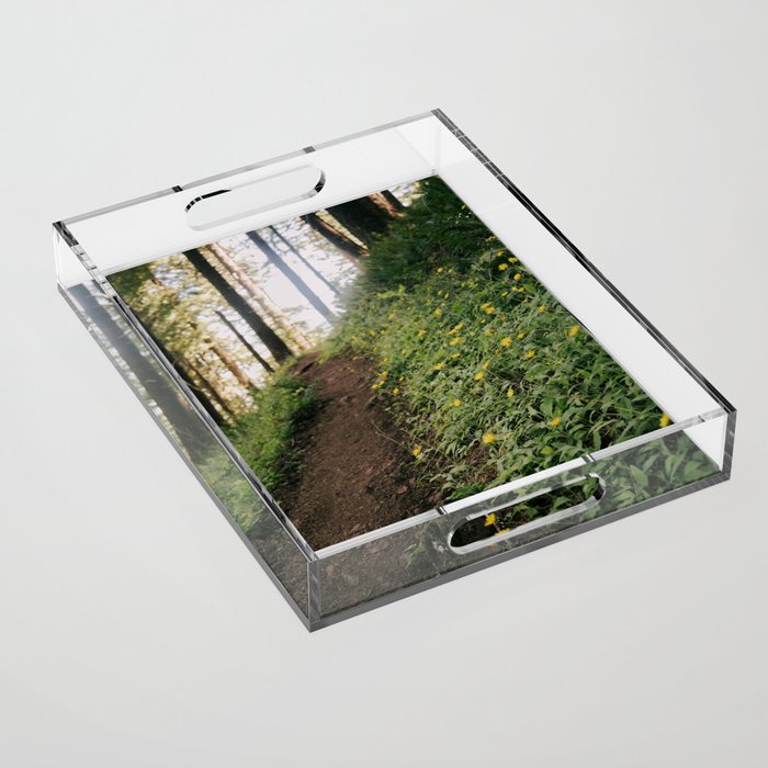 Dandelion Trail Acrylic Tray Gallery Image 1