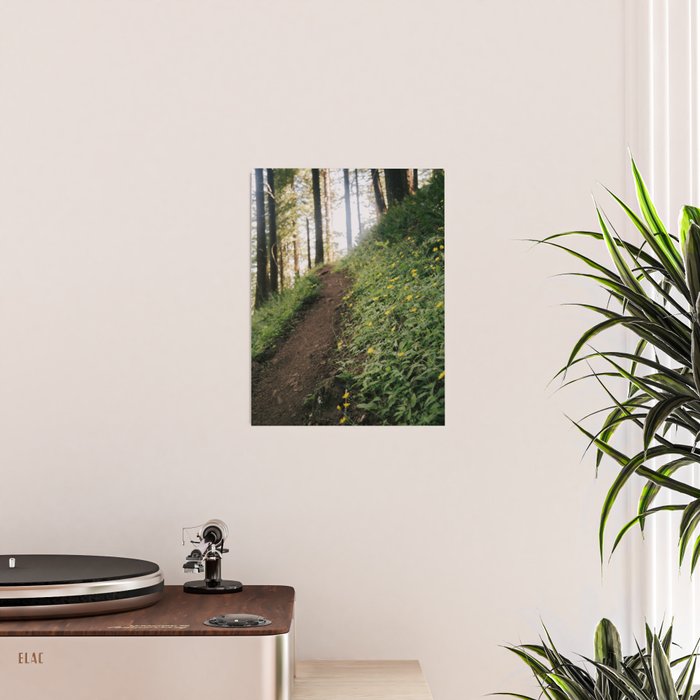 Dandelion Trail Poster Gallery Image 2