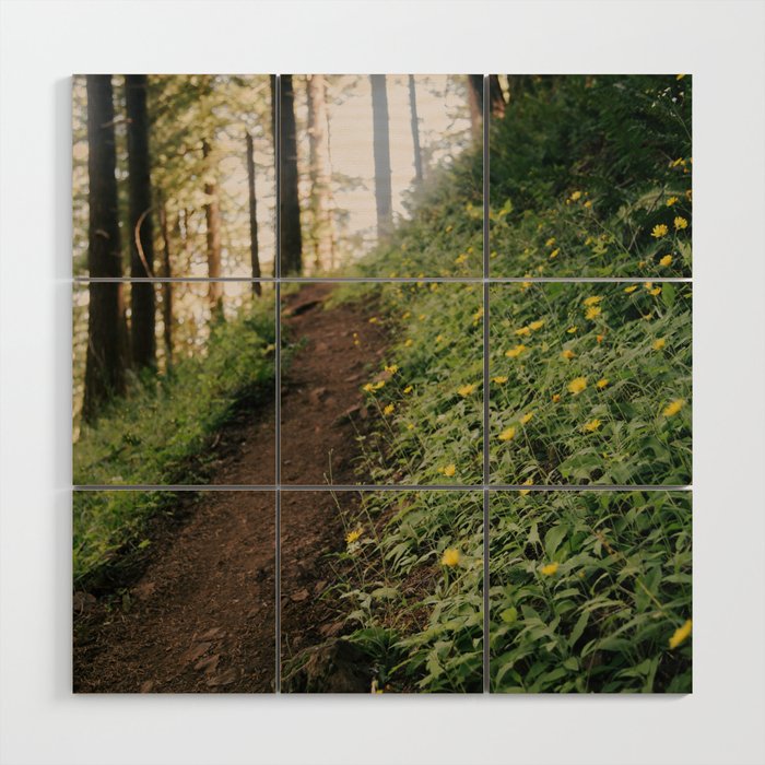 Dandelion Trail Wood Wall Art Gallery Image 1