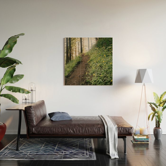 Dandelion Trail Wood Wall Art Gallery Image 2