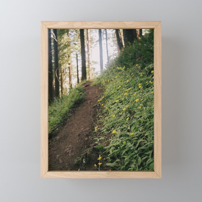 Dandelion Trail Mini Art Print Gallery Image 1