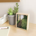 Dandelion Trail Mini Art Print Gallery Image 2