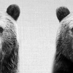 Bear - Black & White Coffee Mug Gallery Image 2