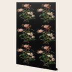 Vintage Botanical Illustration Beautiful Lush Roses Flowers Black Background Wallpaper Gallery Image 2
