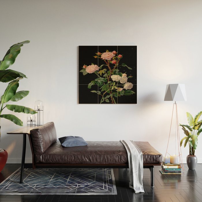 Vintage Botanical Illustration Beautiful Lush Roses Flowers Black Background Wood Wall Art Gallery Image 2