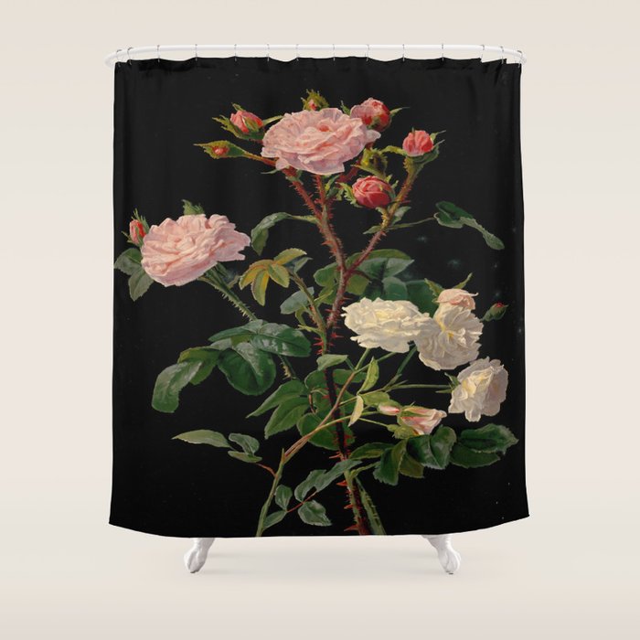Vintage Botanical Illustration Beautiful Lush Roses Flowers Black Background Shower Curtain Gallery Image 1