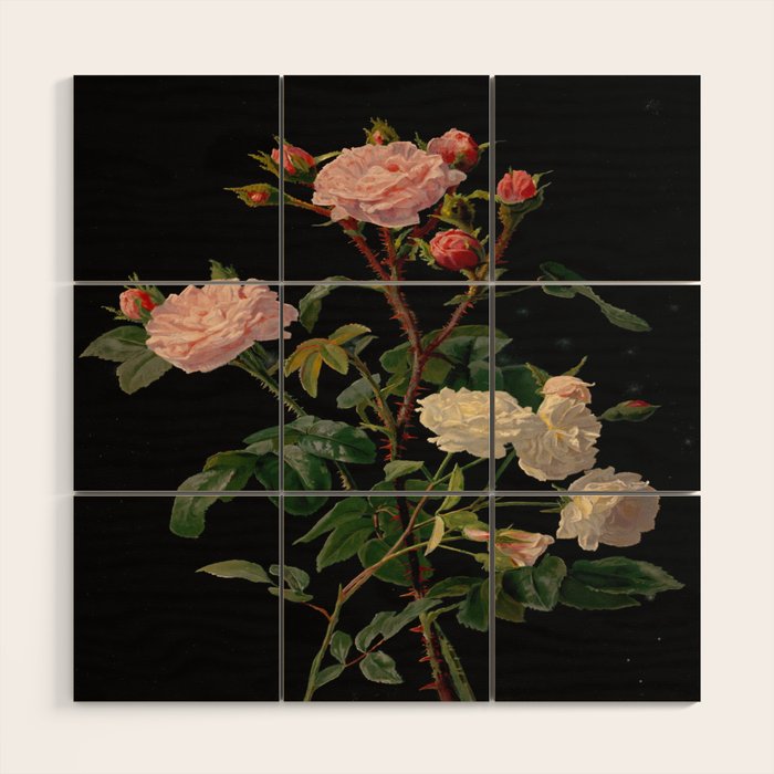 Vintage Botanical Illustration Beautiful Lush Roses Flowers Black Background Wood Wall Art Gallery Image 1