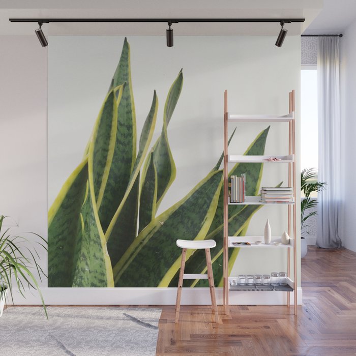 Sansevieria Wall Mural Gallery Image 1