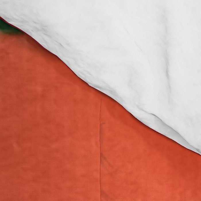 BEAUTIFUL MEXICAN SERAPE Comforter Gallery Image 4