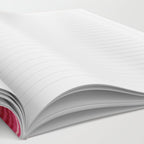 BEAUTIFUL MEXICAN SERAPE Notebook Gallery Image 2