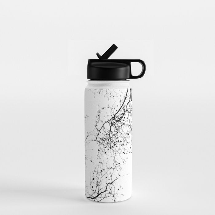 BLACK BRANCHES 2 Water Bottle Gallery Image 1
