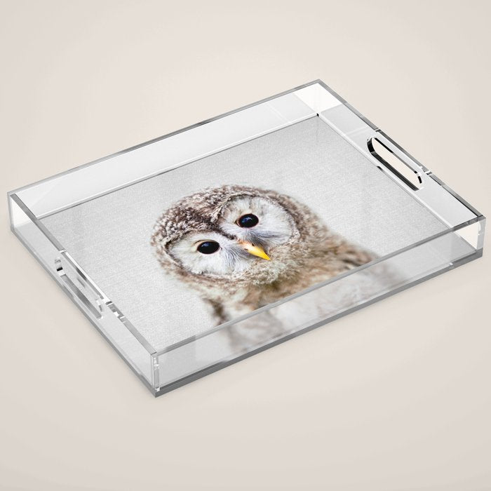 Baby Owl - Colorful Acrylic Tray Gallery Image 1