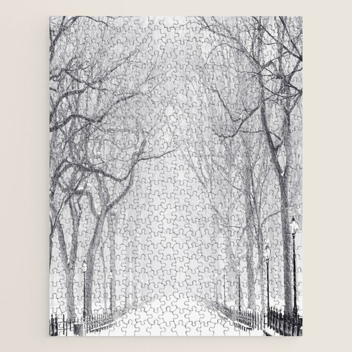 Snowy Park Jigsaw Puzzle Gallery Image 1