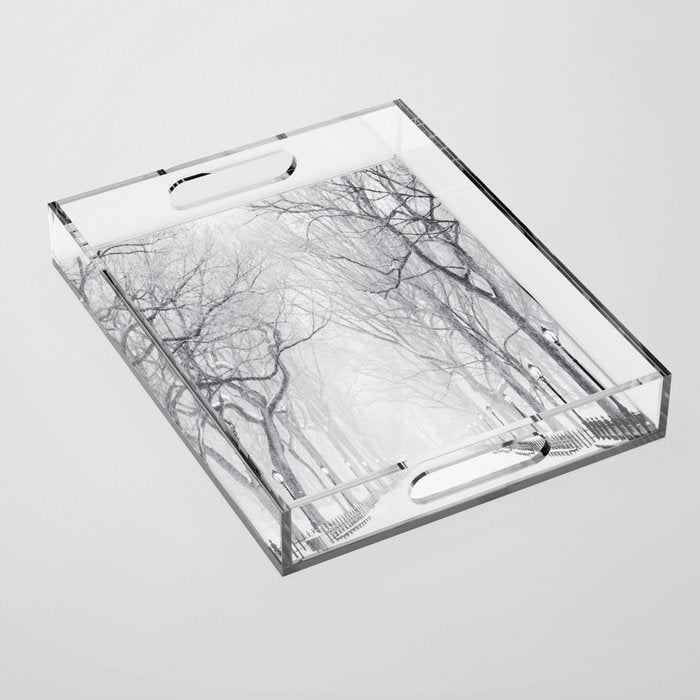 Snowy Park Acrylic Tray Gallery Image 1
