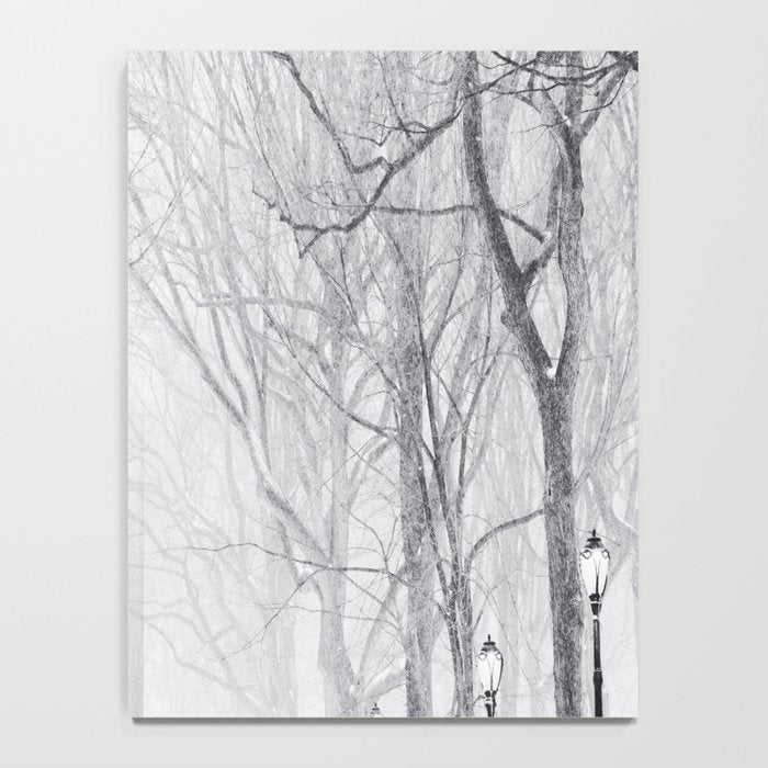 Snowy Park Notebook Gallery Image 4