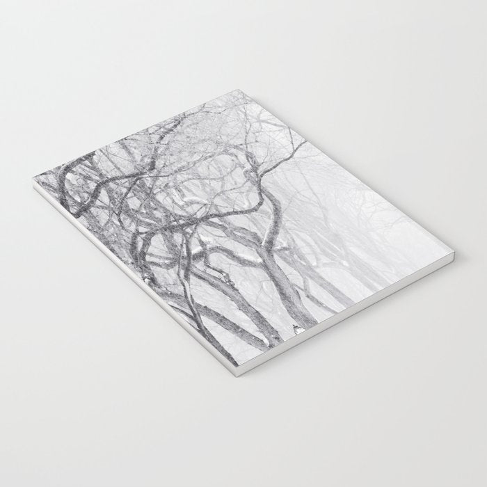 Snowy Park Notebook Gallery Image 3