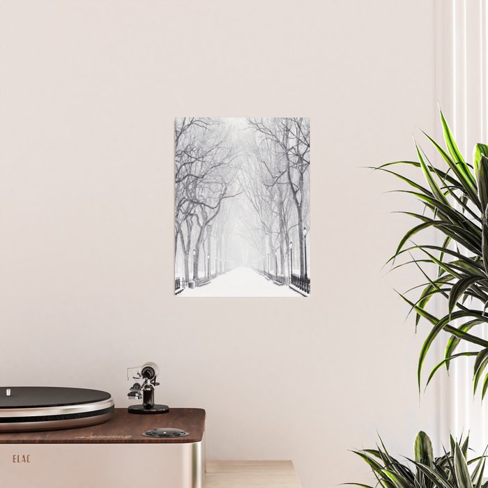 Snowy Park Poster Gallery Image 2