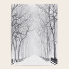 Snowy Park Poster Gallery Image 4