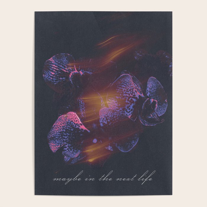 Maybe in the next life Poster Gallery Image 1