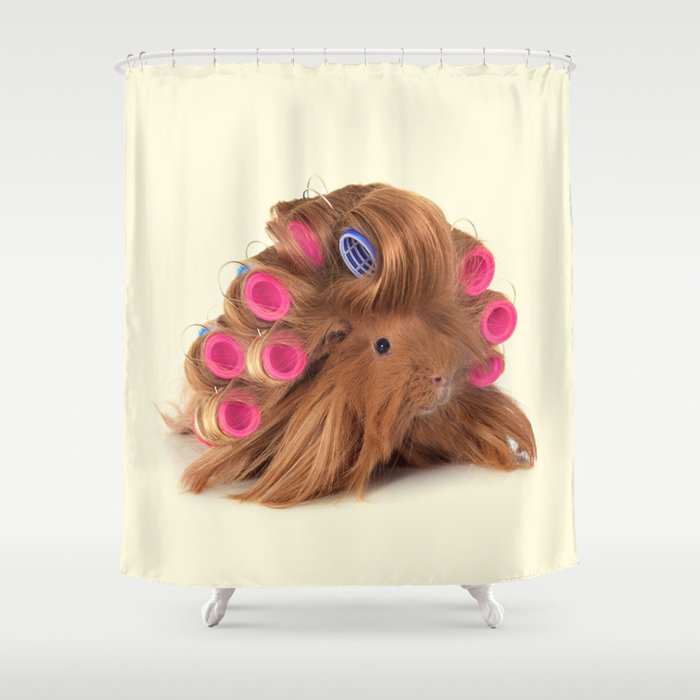 CURLY GUINEA PIG Shower Curtain Gallery Image 1