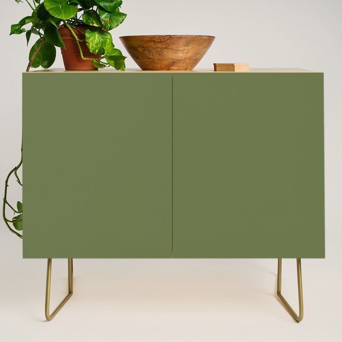 Olive Green Solid Mod Color Credenza Gallery Image 1