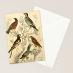 Harrier hawks from The Edinburgh Journal, 1835 (benefitting The Nature Conservancy) Stationery Card Gallery Image 2