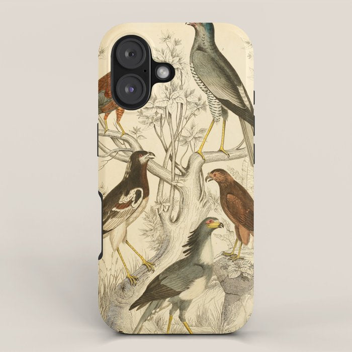 Harrier hawks from The Edinburgh Journal, 1835 (benefitting The Nature Conservancy) iPhone Case Gallery Image 1