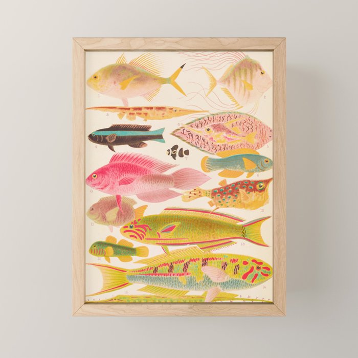 Colorful Tropical Fishes Vintage Sea Life Illustration Mini Art Print Gallery Image 1