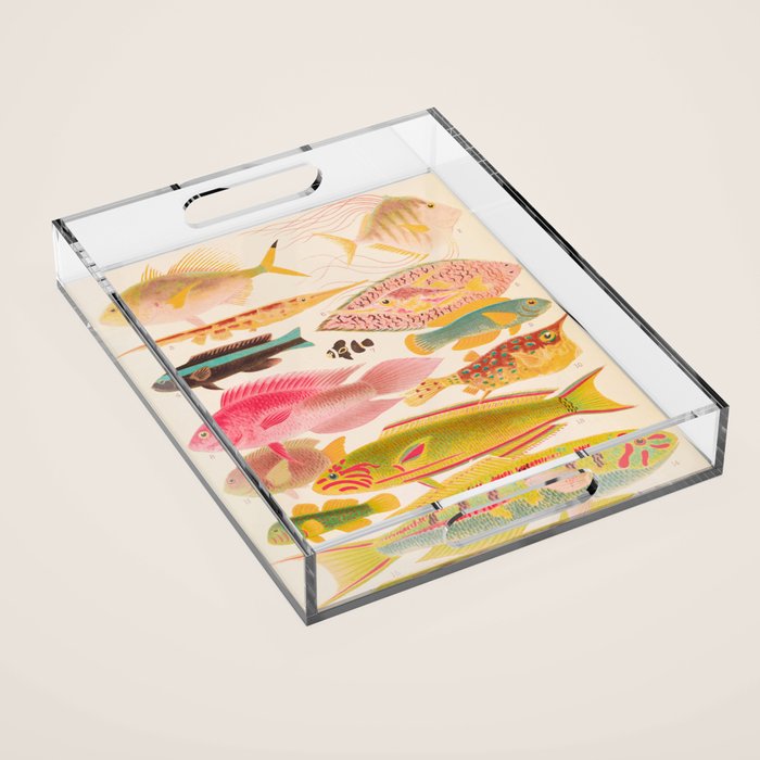 Colorful Tropical Fishes Vintage Sea Life Illustration Acrylic Tray Gallery Image 1