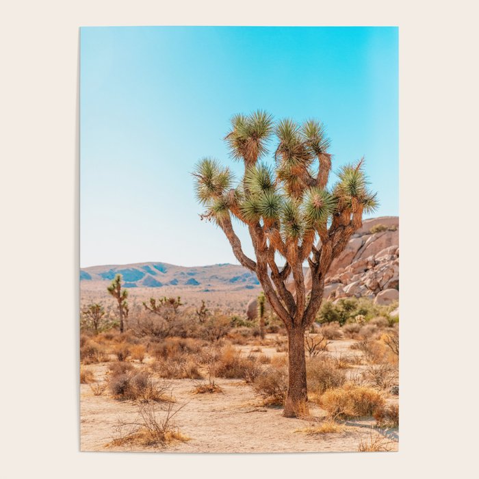 Joshua Tree Poster Gallery Image 4