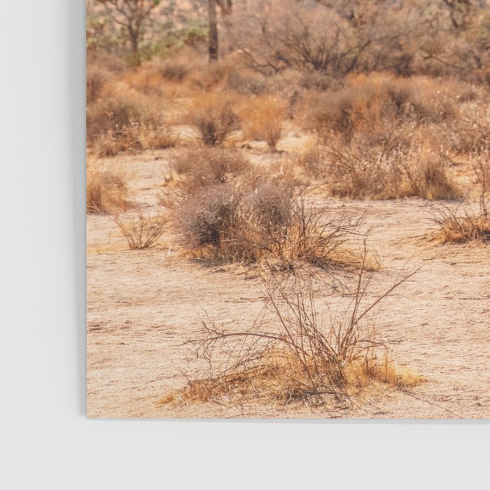 Joshua Tree Poster Gallery Image 3