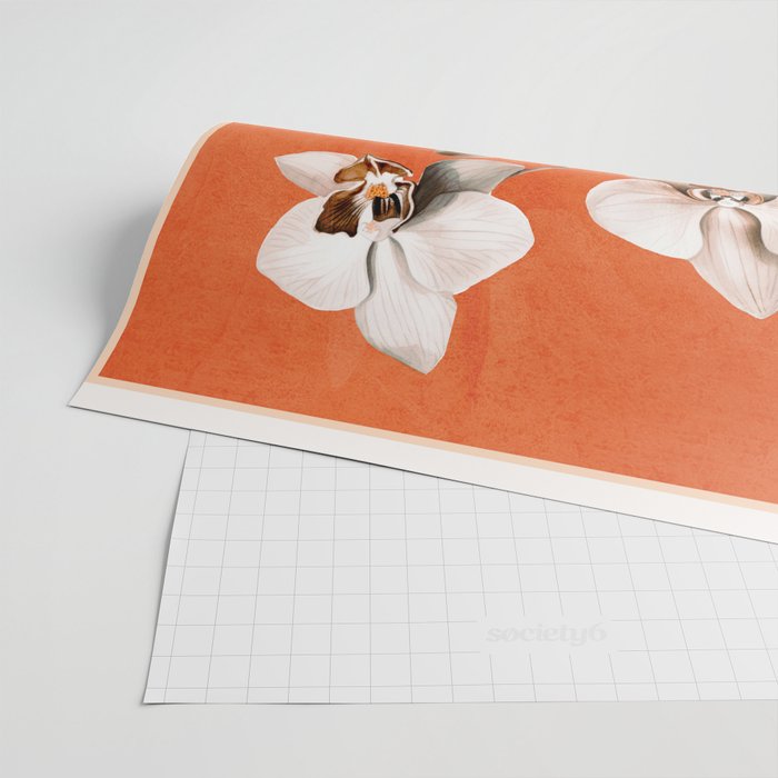 White Orchid Floral Art 3  Wrapping Paper Gallery Image 2
