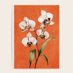 White Orchid Floral Art 3  Poster Gallery Image 4
