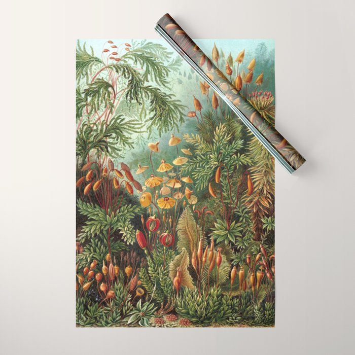 Ernst Haeckel Muscinae Microscopic Landscape Wrapping Paper Gallery Image 1