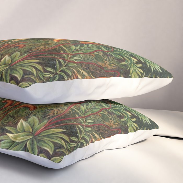 Ernst Haeckel Muscinae Microscopic Landscape Pillow Sham Gallery Image 3