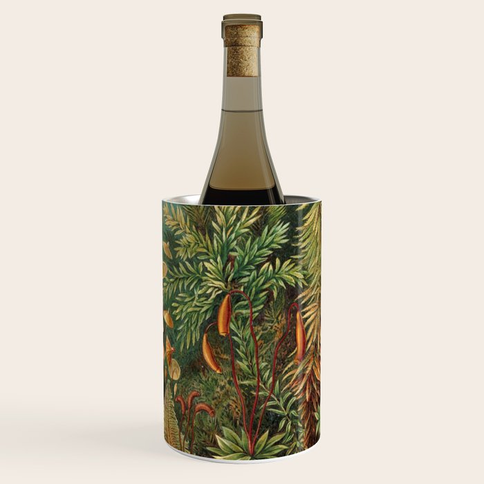 Ernst Haeckel Muscinae Microscopic Landscape Wine Chiller Gallery Image 3