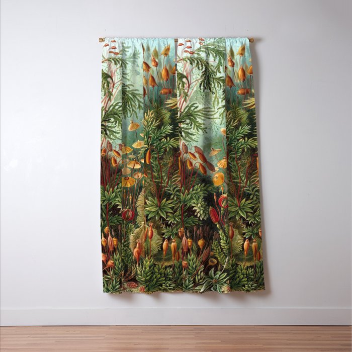 Ernst Haeckel Muscinae Microscopic Landscape Window Curtain Gallery Image 3