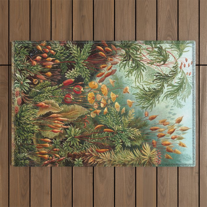 Ernst Haeckel Muscinae Microscopic Landscape Outdoor Rug Gallery Image 1