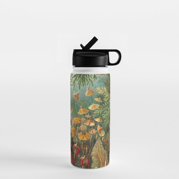 Ernst Haeckel Muscinae Microscopic Landscape Water Bottle Gallery Image 1