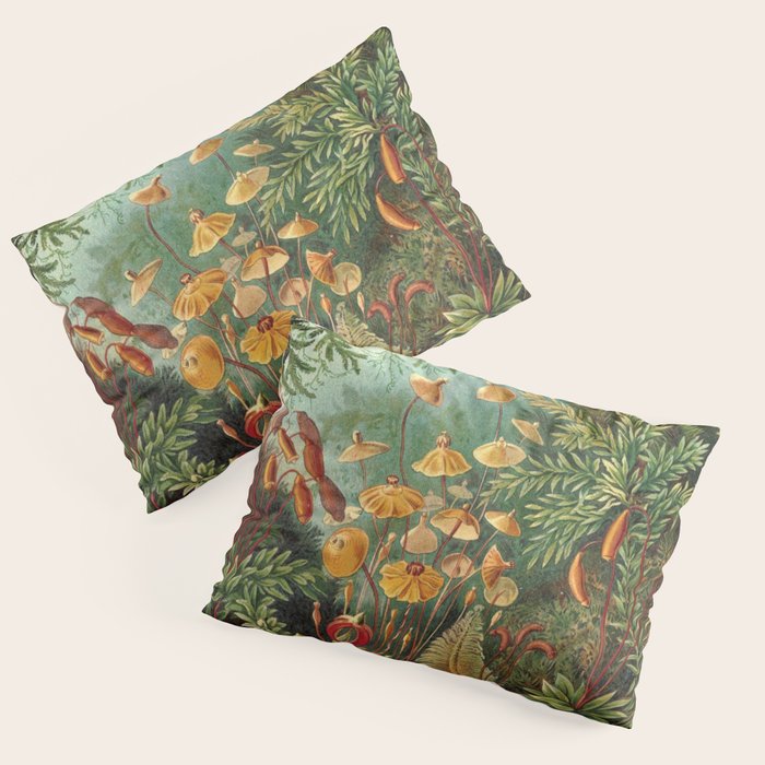 Ernst Haeckel Muscinae Microscopic Landscape Pillow Sham Gallery Image 3