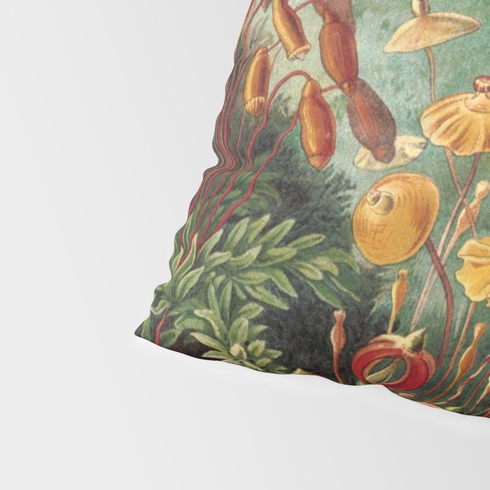 Ernst Haeckel Muscinae Microscopic Landscape Pillow Sham Gallery Image 4