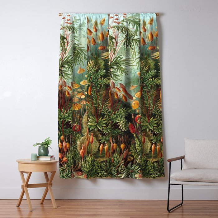 Ernst Haeckel Muscinae Microscopic Landscape Window Curtain Gallery Image 5
