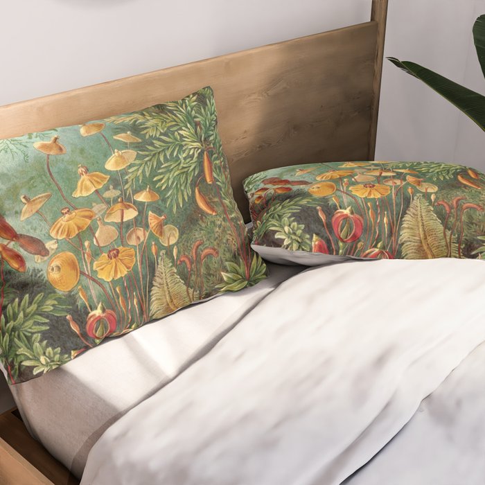 Ernst Haeckel Muscinae Microscopic Landscape Pillow Sham Gallery Image 2