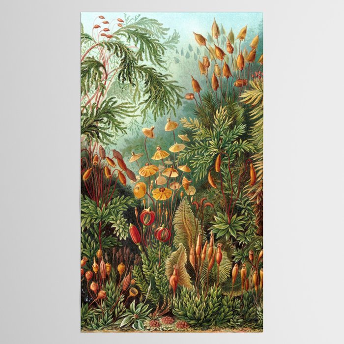 Ernst Haeckel Muscinae Microscopic Landscape Tablecloth Gallery Image 2