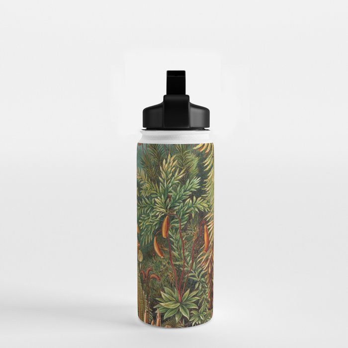 Ernst Haeckel Muscinae Microscopic Landscape Water Bottle Gallery Image 2