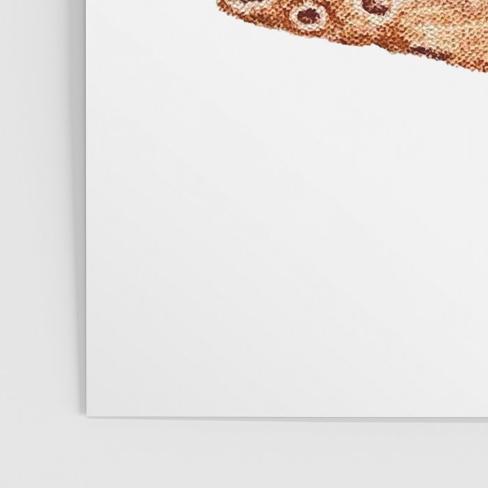 Buongiorno Poster Gallery Image 3