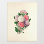  Asters by Clarissa Munger Badger, "Floral Belles," 1866 (benefitting The Nature Conservancy) Poster Gallery Image 4